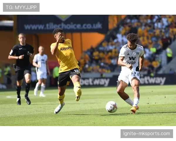 富勒姆状态回暖，英超竞争力持续攀升