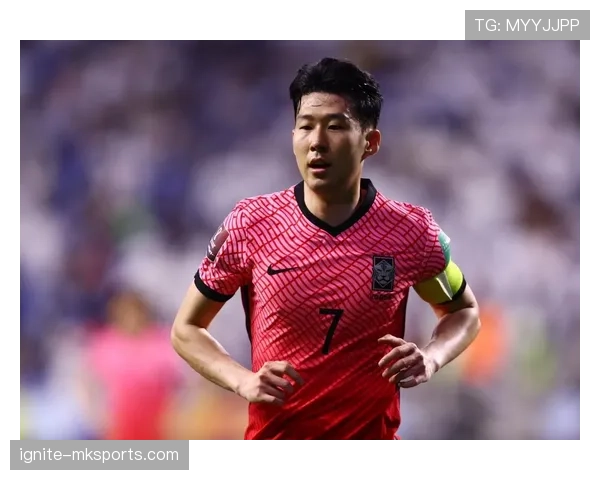 塞内加尔领袖马内承诺推动国家经济发展与社会和谐的积极影响分析 塞内加尔领袖马内承诺推动国家经济发展与社会和谐的积极影响分析